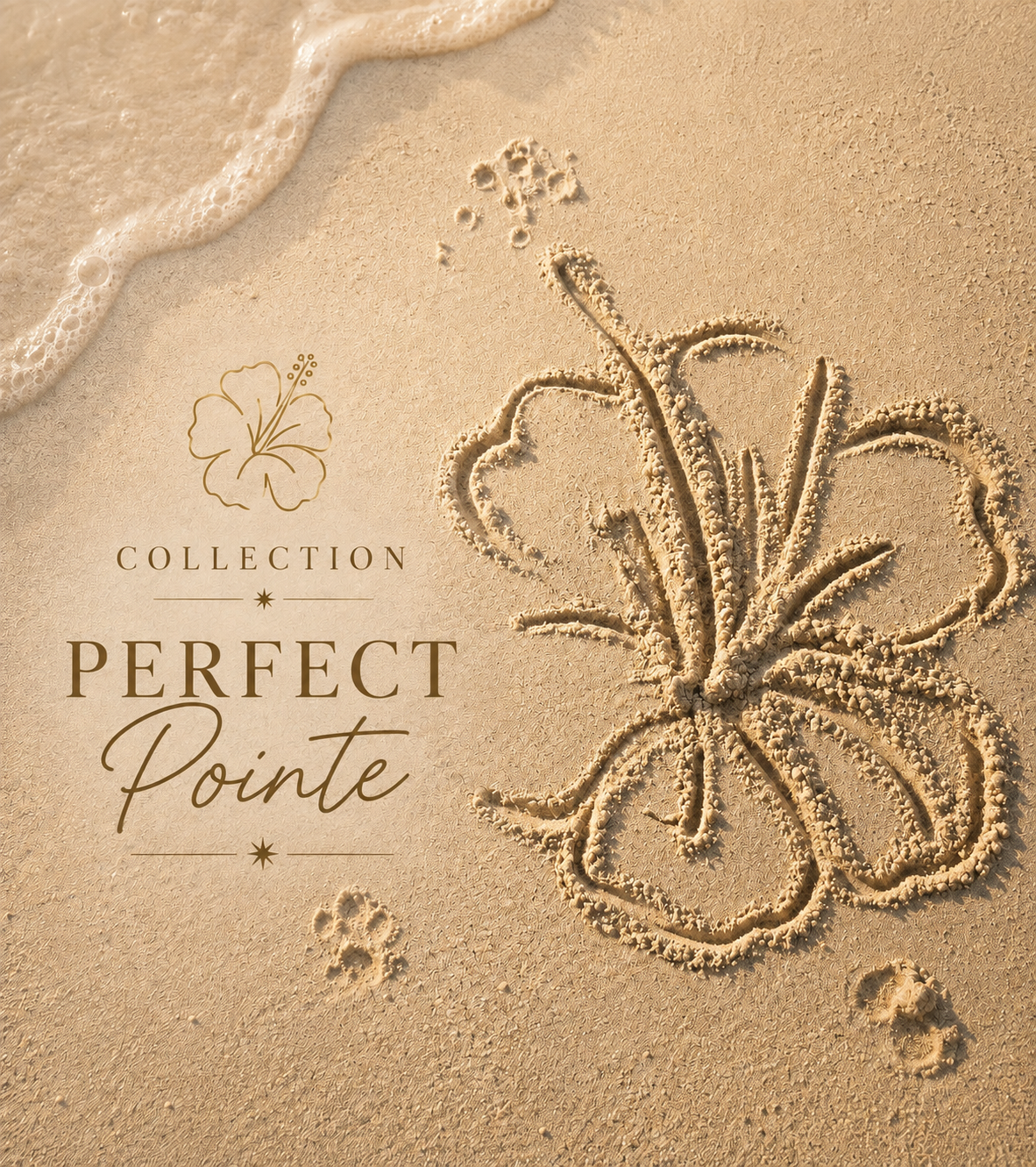 Collection perfect pointe  320 Fans