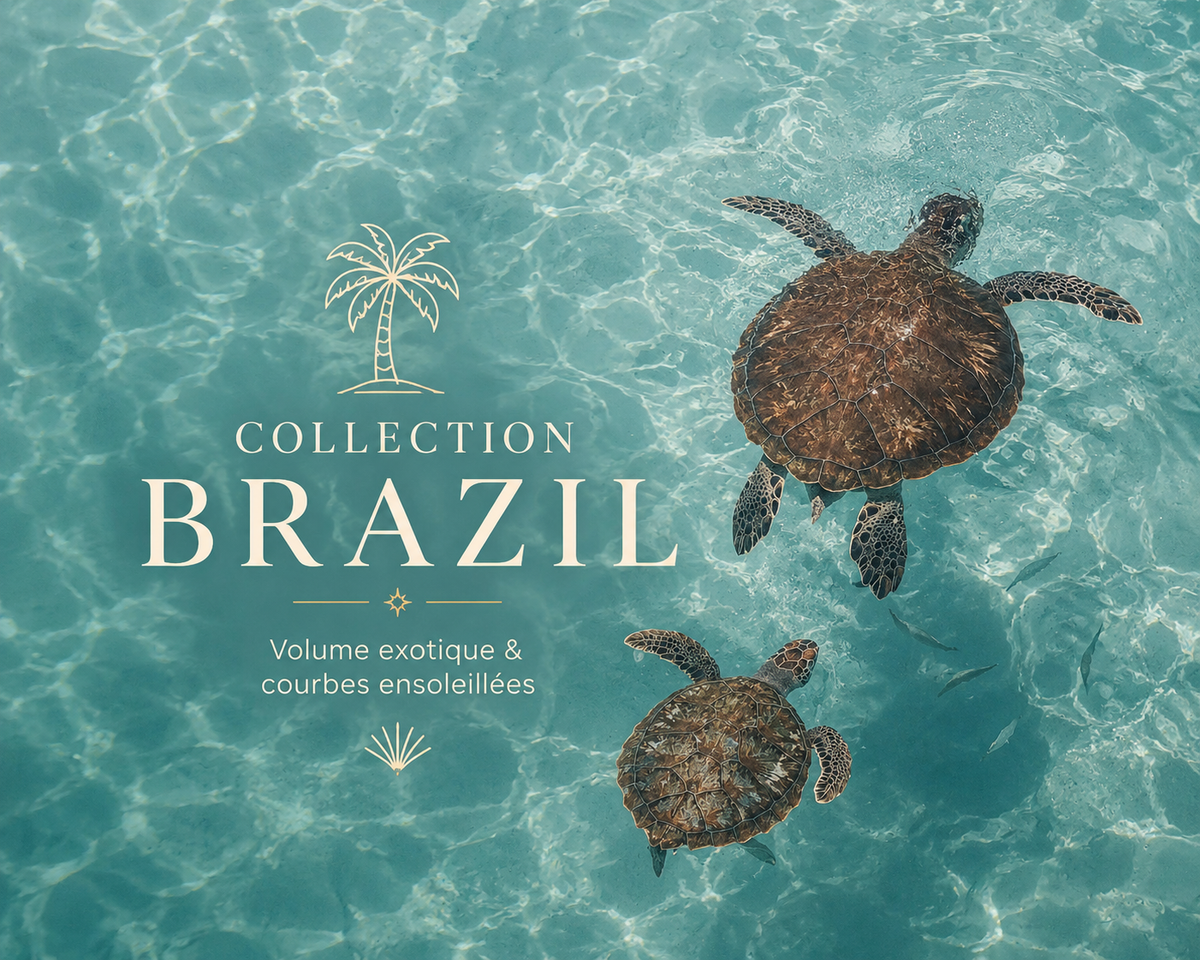 Collection Brazil